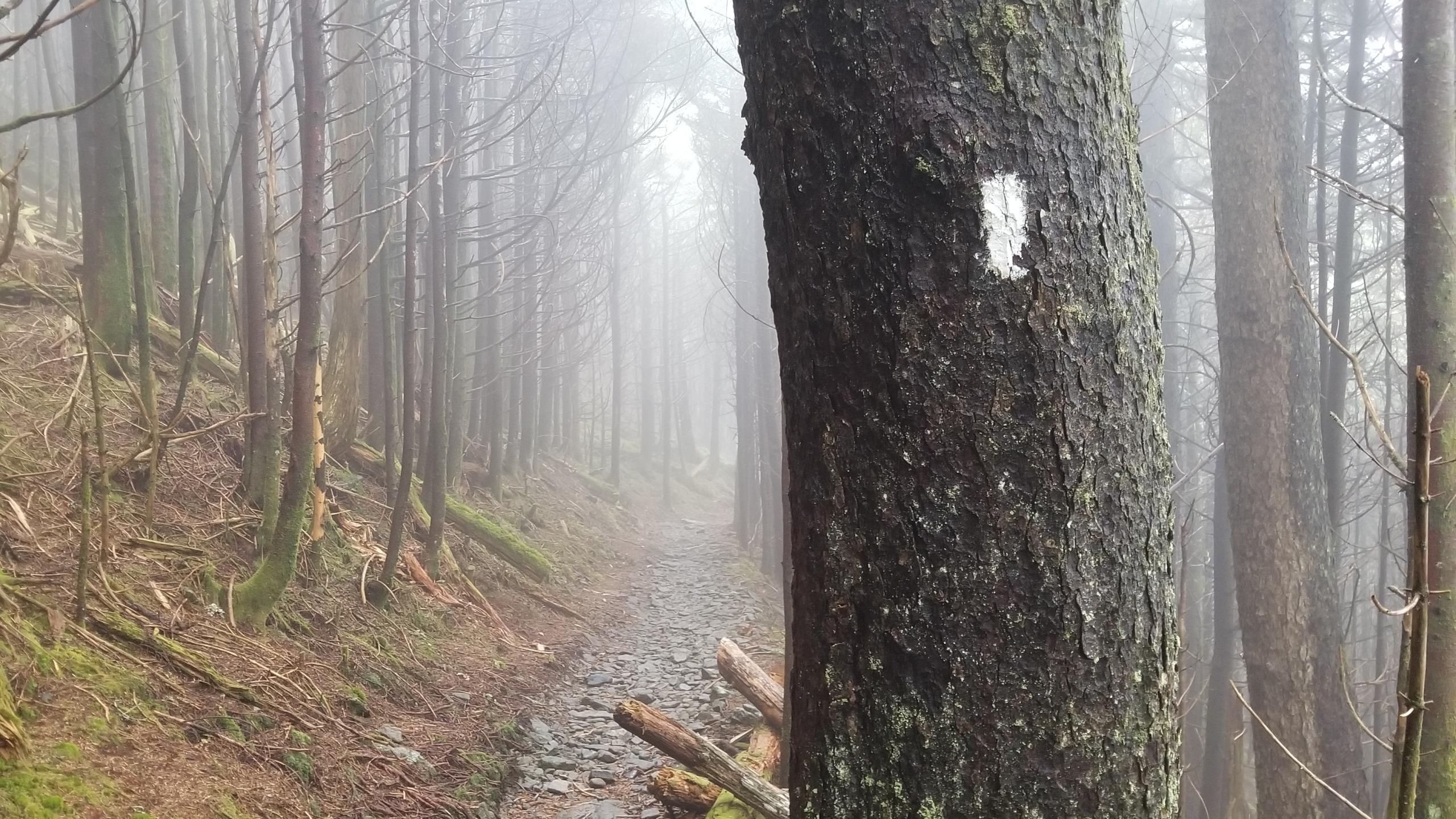 AT - Smoky Mountains