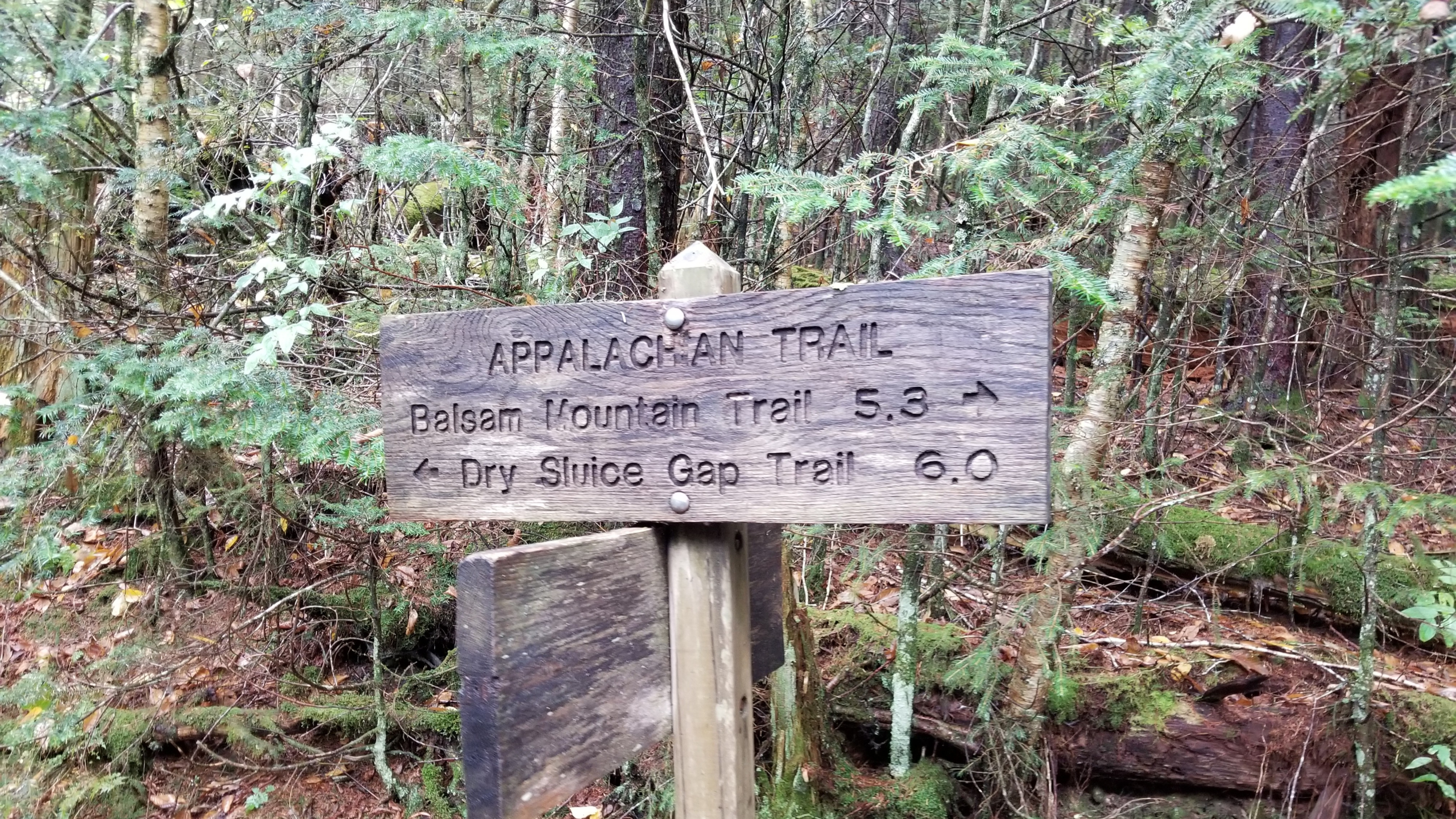 AT - Smoky Mountains