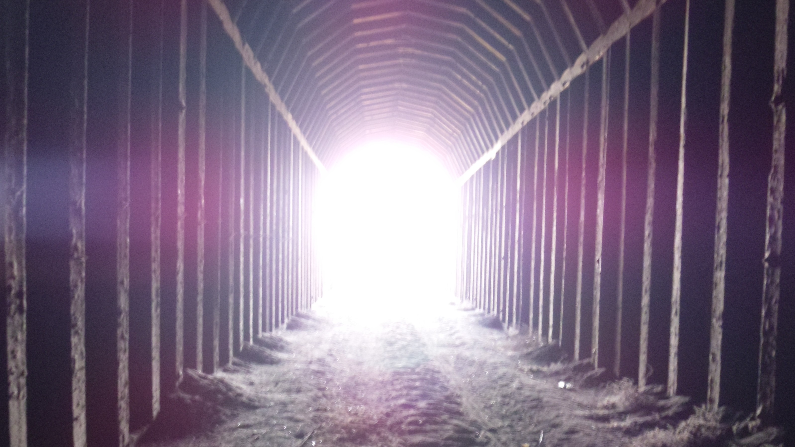 Caprock Canyons Trailway