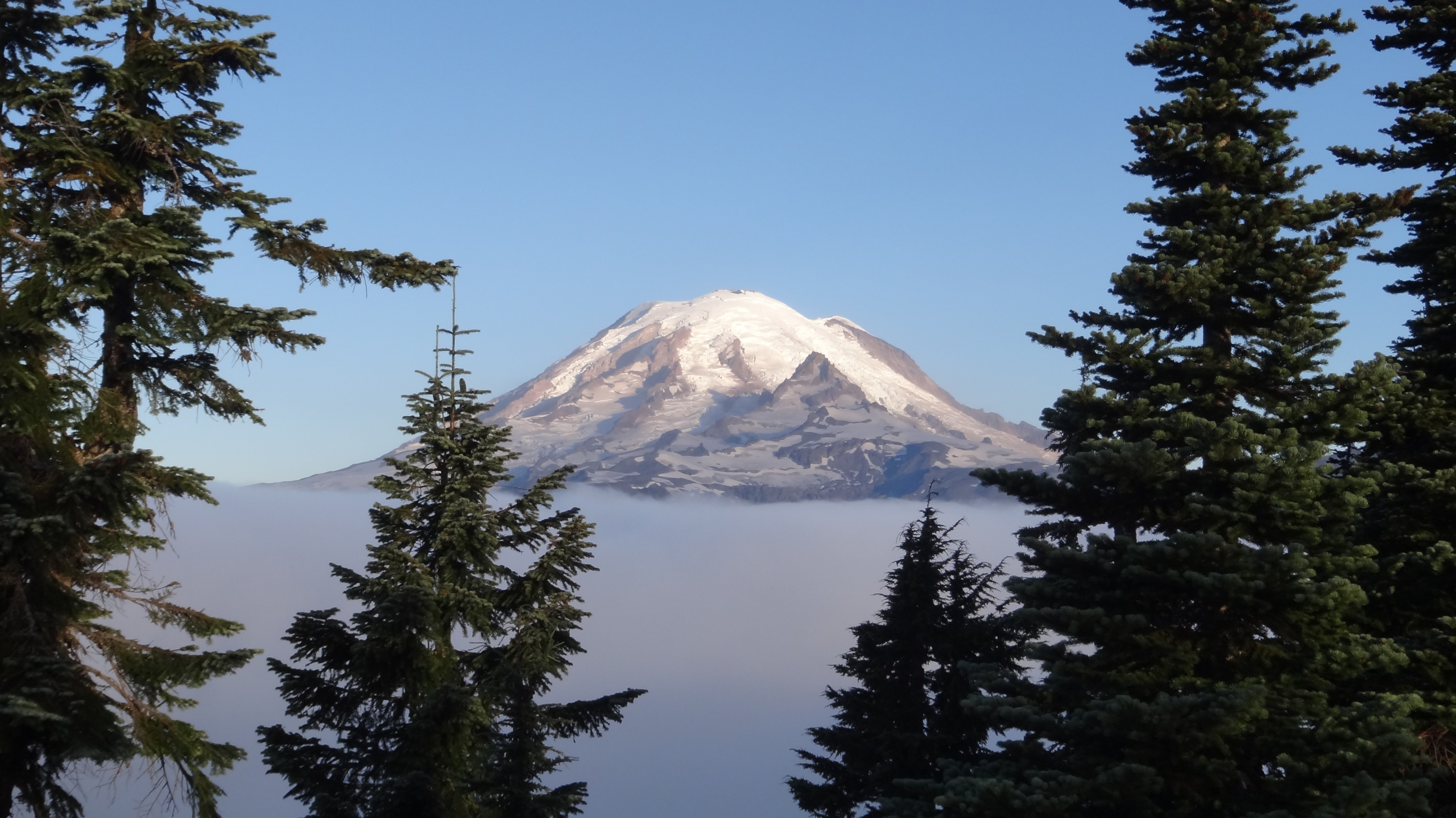 Mount Rainier - Shriner Peak